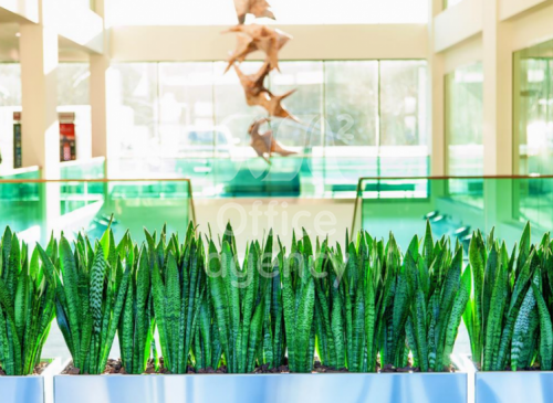 Бизнес-центр "Ленинский проспект, 119" (Москва, Ленинский проспект, 119) – фото Бизнес-центр "Ленинский проспект, 119" – фото объекта